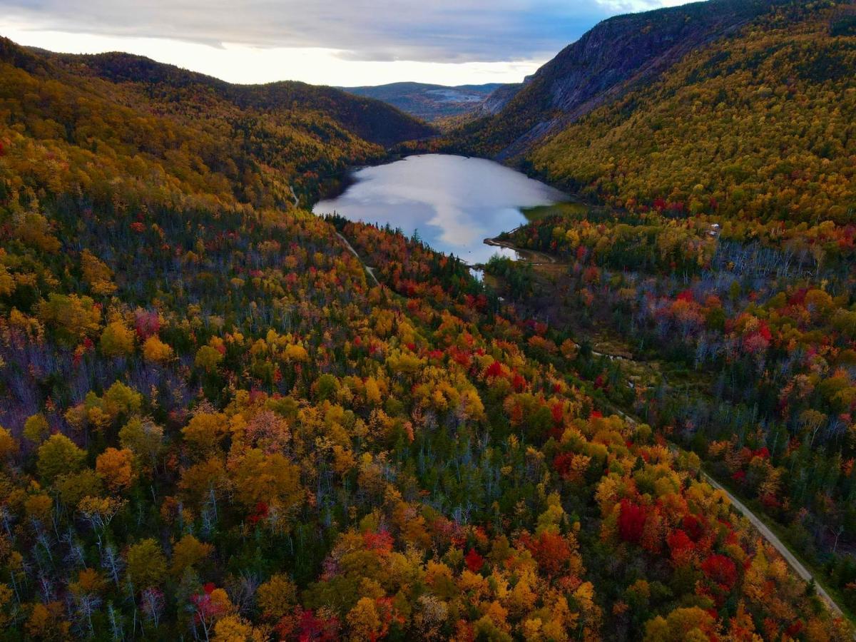 Bonne Bay Cottages Bonne Bay Pond Екстериор снимка